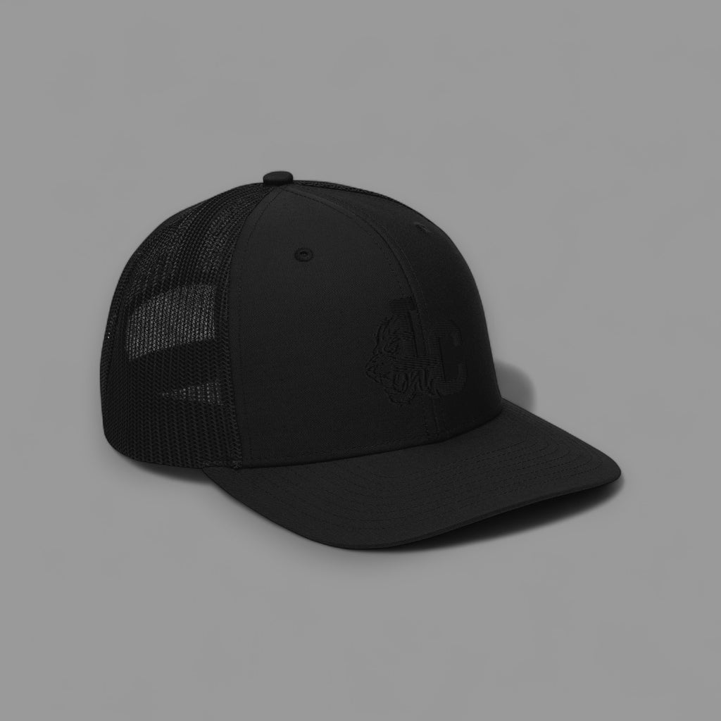 LIONS CLUB "PREMIUM" SNAP BACK BLACKED OUT