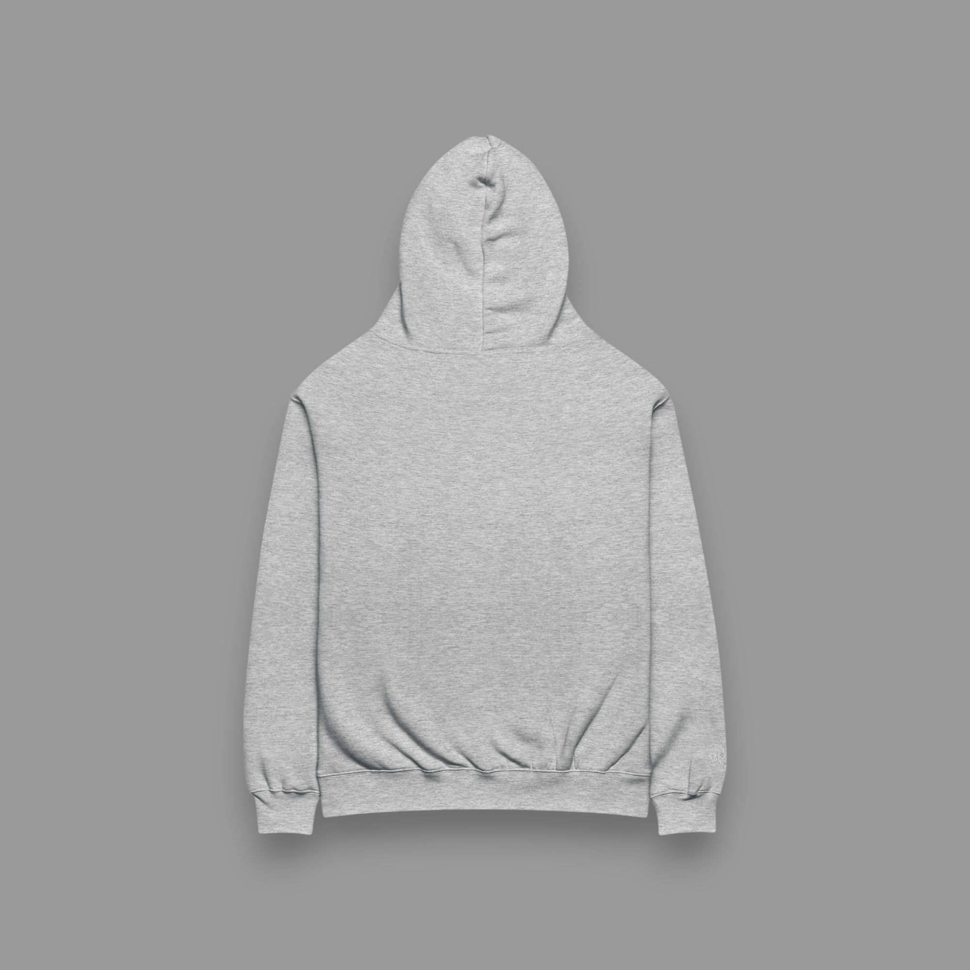 LIONS CLUB HOODIE IN GREY