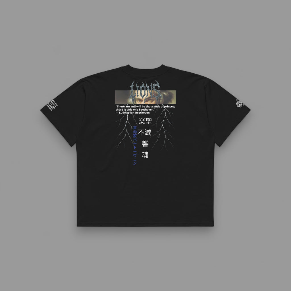 BEETHOVEN CLASSICAL MUSIC "SPECIAL" UNISEX PUMP COVER IN BLACK