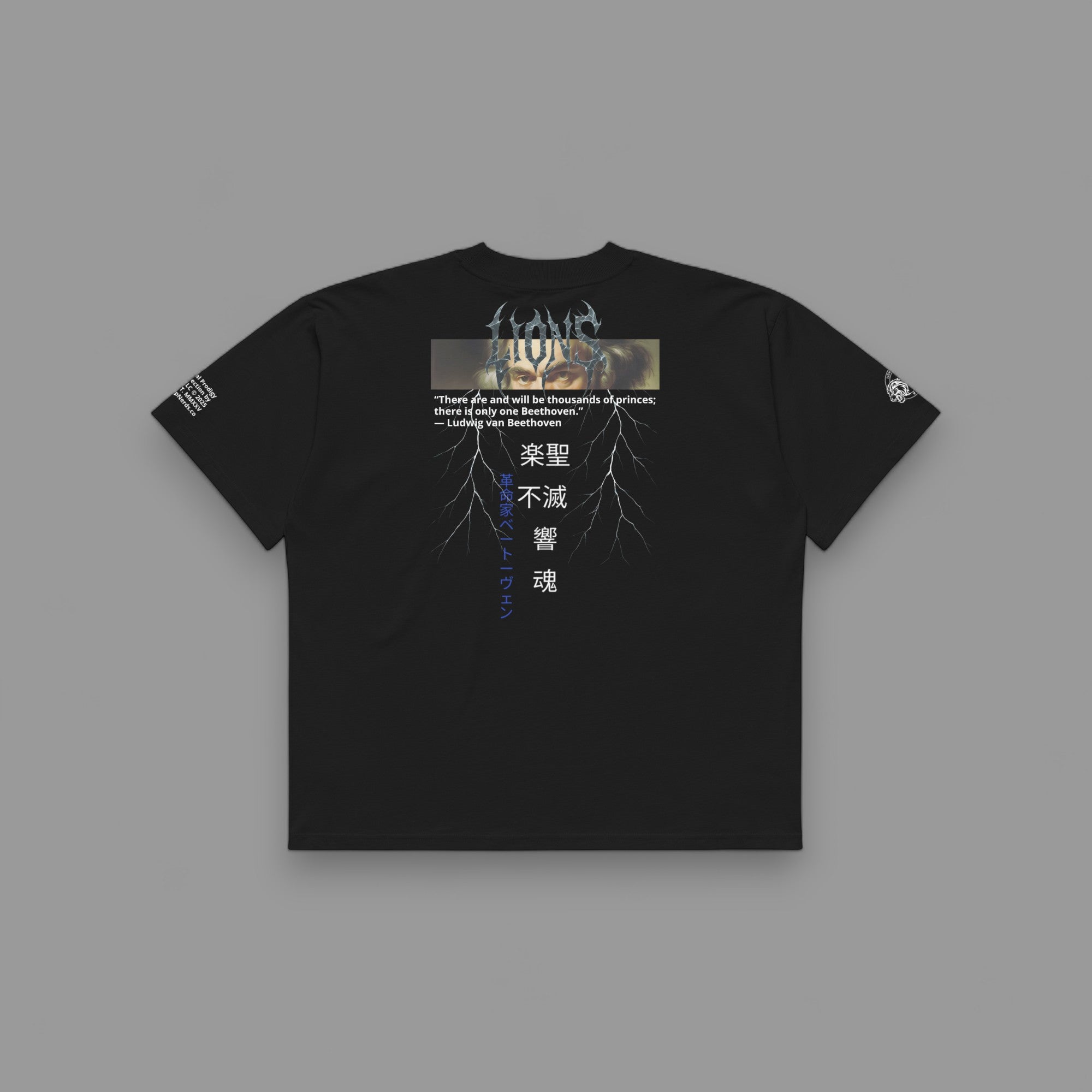 BEETHOVEN CLASSICAL MUSIC "SPECIAL" UNISEX PUMP COVER IN BLACK